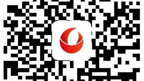 法兰克福对决弗赖堡开云体育代理：巅峰对决前瞻指南